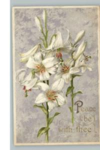 Winsch Embossed White Lilies c1910 Postcard