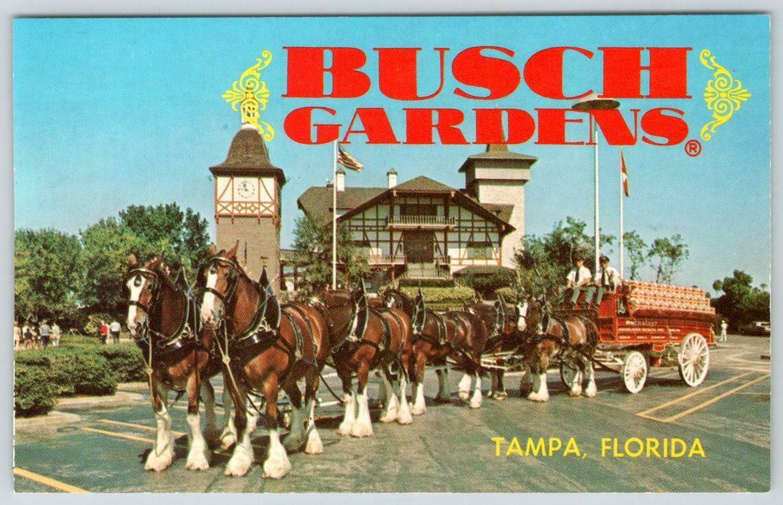 1970'S ERA Busch Gardens Tampa FL OLD Swiss House Clydesdale Horses