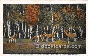 Cedar City, Utah, USA Deer, Kaibab National Forest Unused 