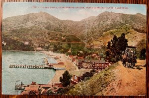 Vintage Postcard 1911 Drive overlooking Avalon, Santa Catalia, California (CA)