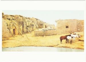 Acoma Pueblo and Horses in 1900 New Mexico Native American Modern Postcard