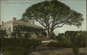 Tamarind Vale Warwick Bermuda c1910 Postcard