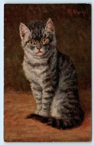 TABBY CAT KITTEN~ Artist Signed M. STOCKS ca 1910  Postcard