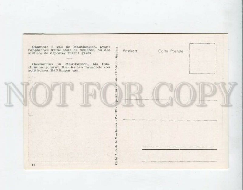 3087705 Holocaust JEW POLAND Mauthausen Concentration Camp #11