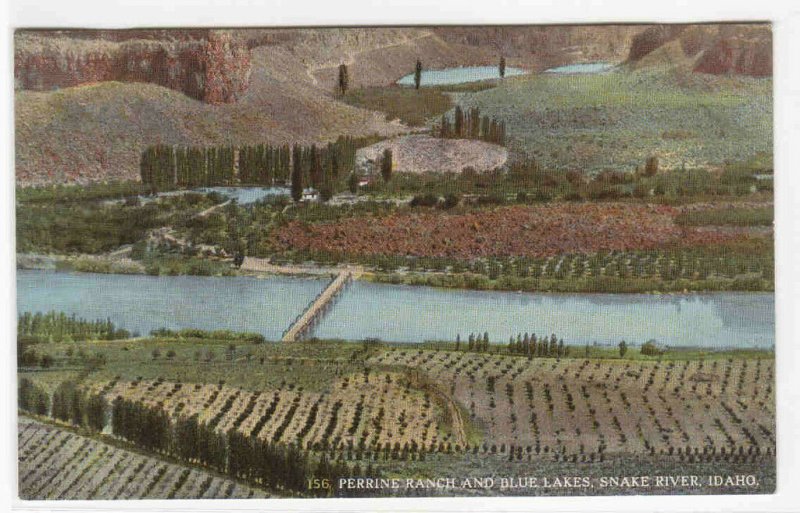 Perrine Ranch Blue Lakes Snake River Idaho 1910c postcard