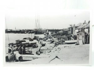 The Riverside Boat Trips c1910  Littlehampton Sussex Repro RP Postcard