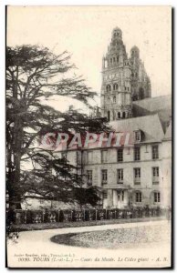 Postcard Old Course Museum Tours the giant cedar