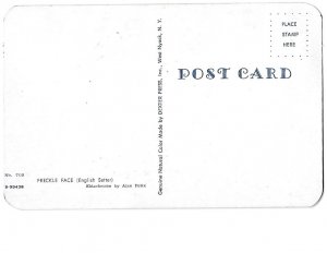 Freckle Face English Setter Dog