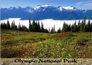 CONTINENTAL SIZE POSTCARD PANORAMIC HORIZON VIEW OF OLYMPIC NATIONAL PARK