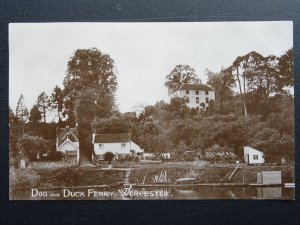 Worcester THE DOG & DUCK FERRY the RIVER SEVERN c1920s RP Postcard by H.C. Knott