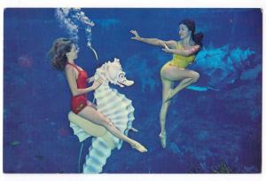 Mermaids - Weeki Wachee Fl