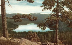 Donner Lake Midway Between Sacramento California & Reno Nevada Vintage Postcard