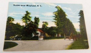Circa 1910-20 Scene Near Wayland, New York, Car Wagon Horses Postcard P31