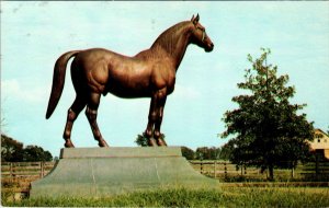 Mon O War,The Wonder Horse,Lexington,KY BIN