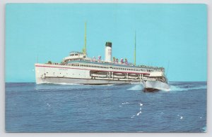 Transportation~SS Catalina @ Santa Catalina Island California~Vintage Postcard