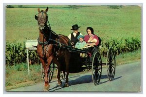 Vintage 1969 Postcard Amish Horse Drawn Carriage Pennsylvania Dutch Country PA