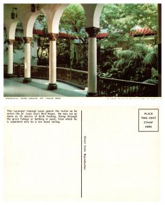 Tropical Bird House, St Louis Zoo, St Louis Missouri (8583)