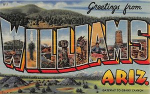 H93/ Williams Arizona Postcard Linen Large Letter Greetings from 3