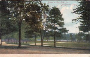 Connecticut Bridgeport Scene In Sea Side Park 1913