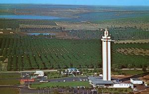 FL - Clermont. Citrus Tower