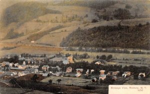 Bird's Eye View Roxbury, New York  