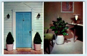 Advertising HYDROCEL INDOOR-OUTDOOR PLANTER Helps Plants Flourish 1960s Postcard