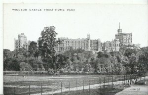 Berkshire Postcard - Windsor Castle from Home Park    ZZ2140