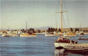 BALBOA HARBOR Southern California 76 Gasoline Union Oil 1941 Vintage Postcard 