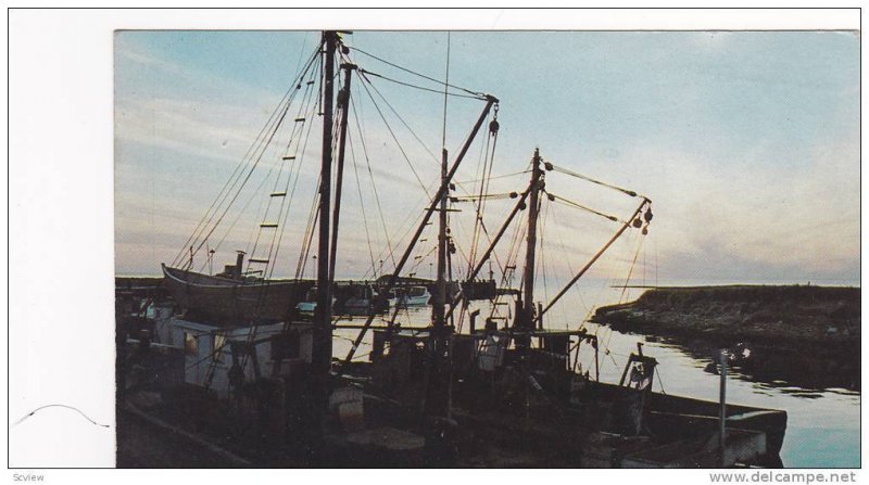 Fishing Boats at Sunset, Cape Cod, Massachusetts, 40-60´s