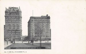 Hotels Netherland & Savoy, Manhattan, New York City, 1898 Postcard, Unused