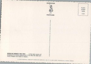 Money Pod Tree in Hawaii Continental Chrome Postcard