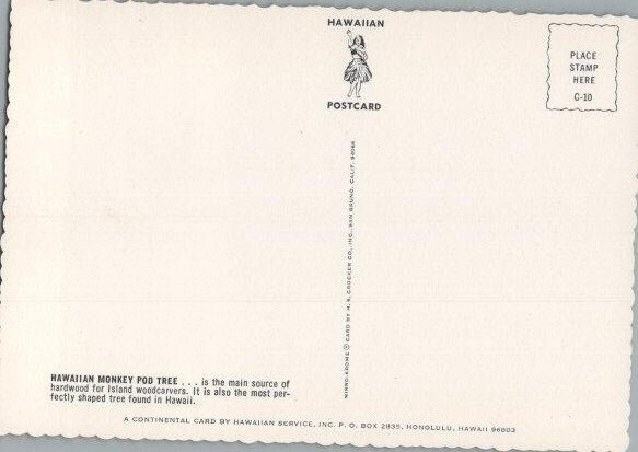 Money Pod Tree in Hawaii Continental Chrome Postcard