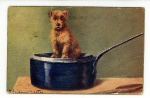 Panel Greeting Card - Pup on a Pot.  Artist: Adrienne Lester