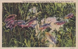 Florida Silver Springs The Fish Kingdom Seen Through Glass Bottom Boats At Si...