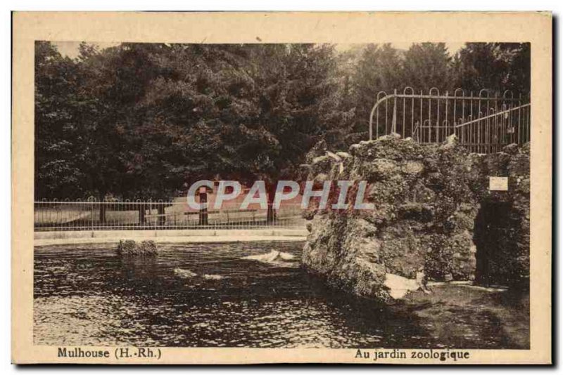 Old Postcard At Mulhouse zoo