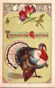 1912 Thanksgiving Greetings, Turkey & Rose Flowers Holiday, Embossed, Postcard