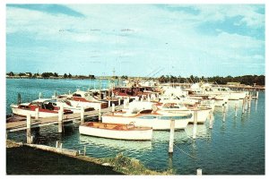 Long Island Yachtmen's Paradise Boats Fishing Postcard 1958