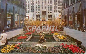 Modern Postcard The Channel Gardens Rockefeller Center With Flags of the Unit...