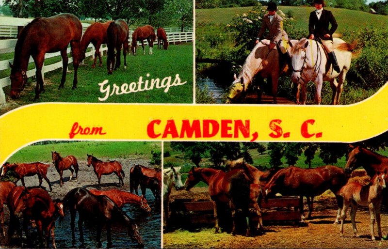 Greetings From Camden South Carolina With Horses Split View