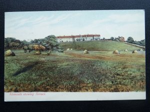 Northumberland ALNMOUTH Showing Terrace Housing c1904 Postcard by G.H.-W.R.