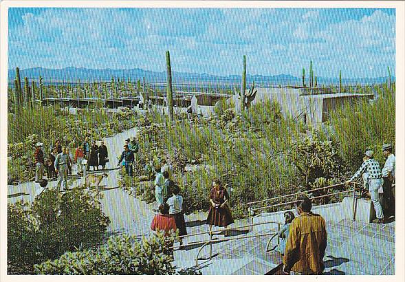Porch Arizona Sonora Desert Museum Tucson Arizona