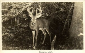 PC CPA US, MICH, BALDWIN 1948, Vintage REAL PHOTO Postcard (b14914)