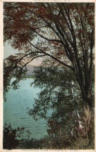 Pittsfield Massachusetts, Pontoosuc Lake Tree Lined Shore Vintage Postcard