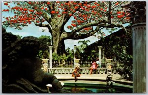 Vtg Clearwater FL The Kapok Tree Inn Blooming 1960s Chrome View Postcard