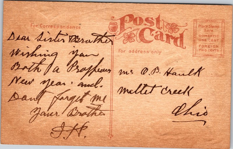 Postcard To My Dear Sister rose vines