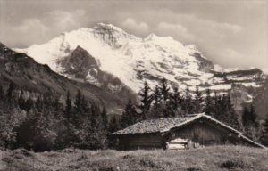 Switzerland Blick Auf Jungfrau Photo