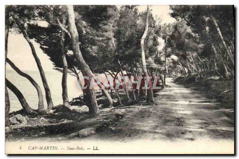 Postcard Old Cap Martin Sous Bois