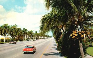 Vintage Postcard 1961 Beautiful Hollywood Boulevard Florida FL Pan American Co