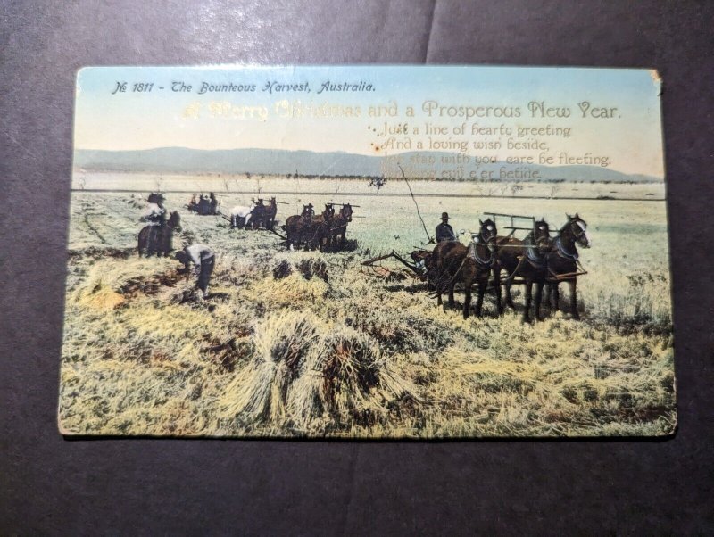 Mint Australia Postcard The Bounteous Harvest No 1811 Postcard