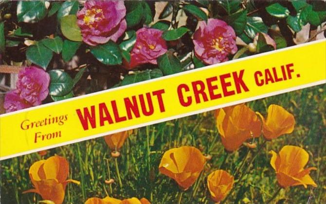 California Greetings From Walnut Creek